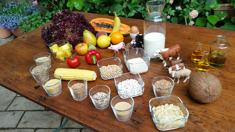Brave New Nutrition: The Fear of Wheat, Milk & Co., Bild 7